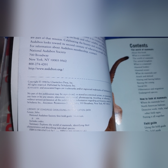 Scholastic National Audubon First Field Guide Reptiles, Insects, and Mammals - Picture 12 of 16